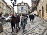 Obrázek v galerii