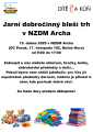 Pozvánka na dobročinný bleší trh 15. dubna 2025