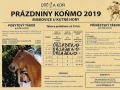 Obsazenost