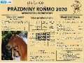 Prázdniny koňmo 2020 - OBSAZENOST