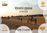 Výroční zpráva za rok 2020