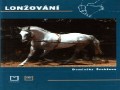 SEMINÁŘ LONŽOVÁNÍ s MVDr. Dominikou Švehlovou